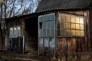 Old shed surrounded by overgrown grass and trees, showing signs of wear and decay