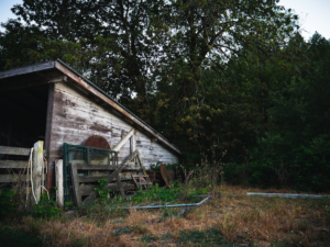 Old wooden shed with weathered walls and a worn-out roof standing in a grassy area.
