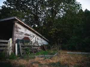 A weathered, rotting shed with warped wood and structural damage in a backyard